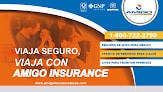 Amigo Insurance