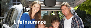 Fiocca Insurance