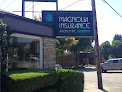 Magnolia Insurance Agency, Inc.