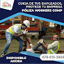 Pulmar Insurance