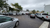Trail Auto Tag Agency
